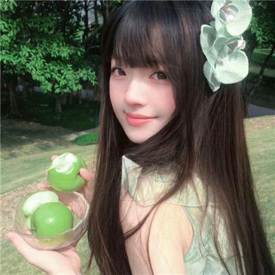 马里布录像带
